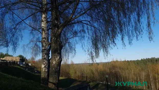 В Татарстане начнётся цветение ольхи и берёзы в апреле