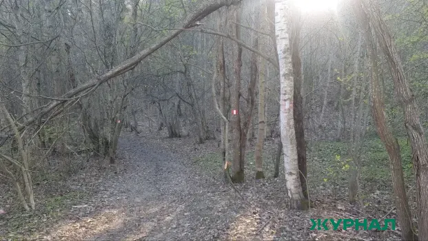 Пропавшую зимой 30-летнюю жительницу Казани нашли мертвой в лесу