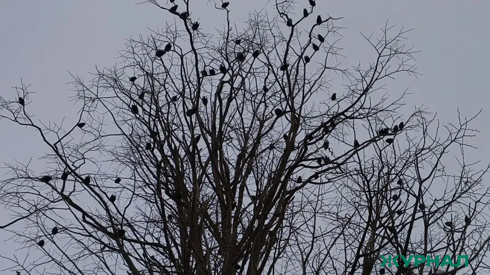 Теплая погода ожидается в Татарстане до четверга, затем дожди