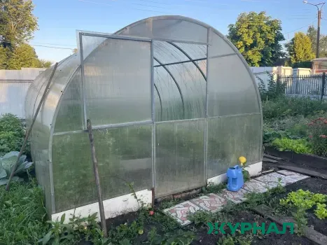 Подготовка теплиц к дачному сезону: советы агрономов и садоводов Челнов