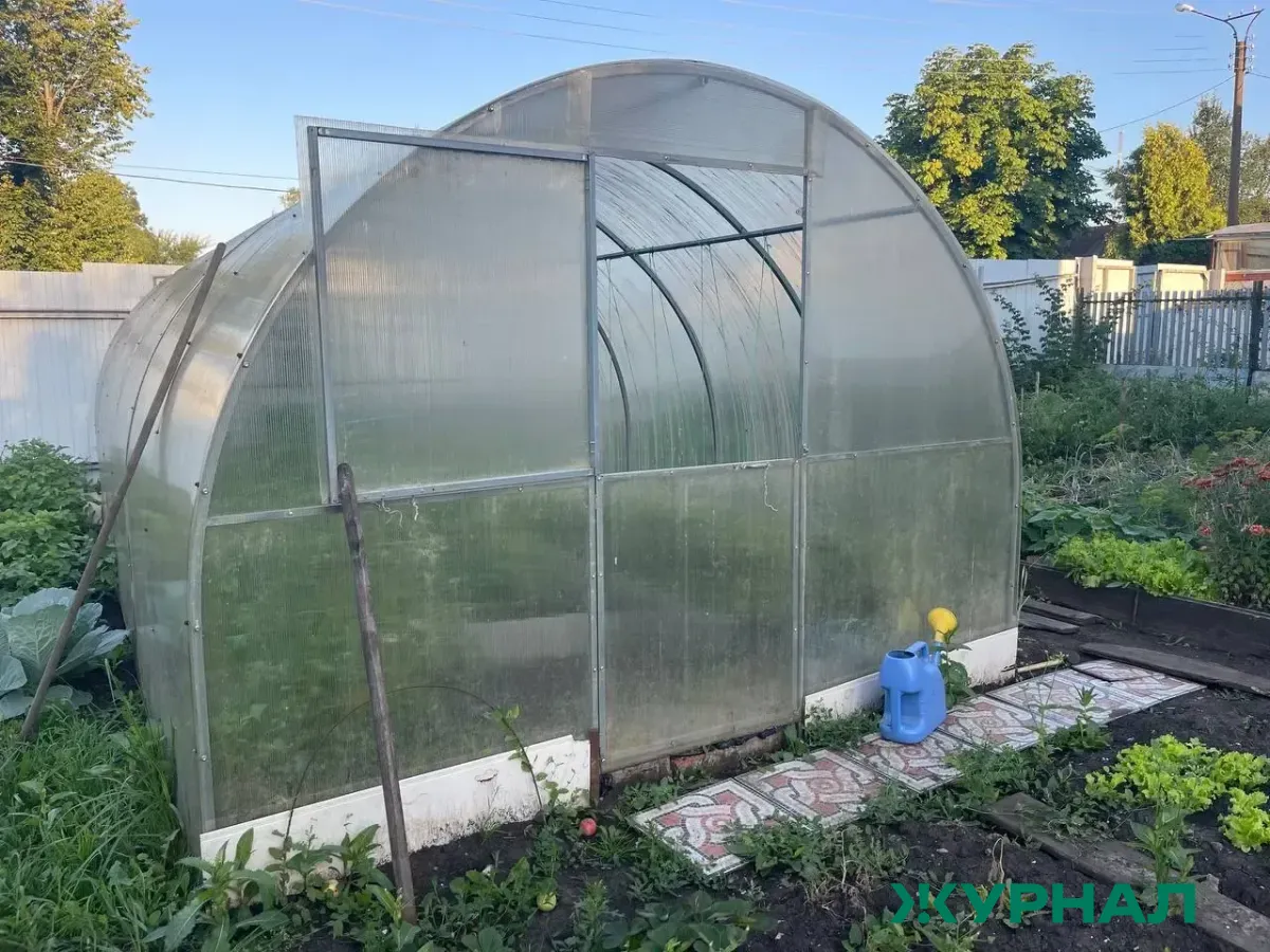 Подготовка теплиц к дачному сезону: советы агрономов и садоводов Челнов