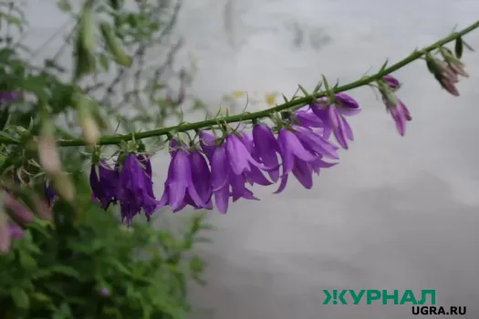 Тёплая погода без осадков ожидает Татарстан в конце марта и начале апреля