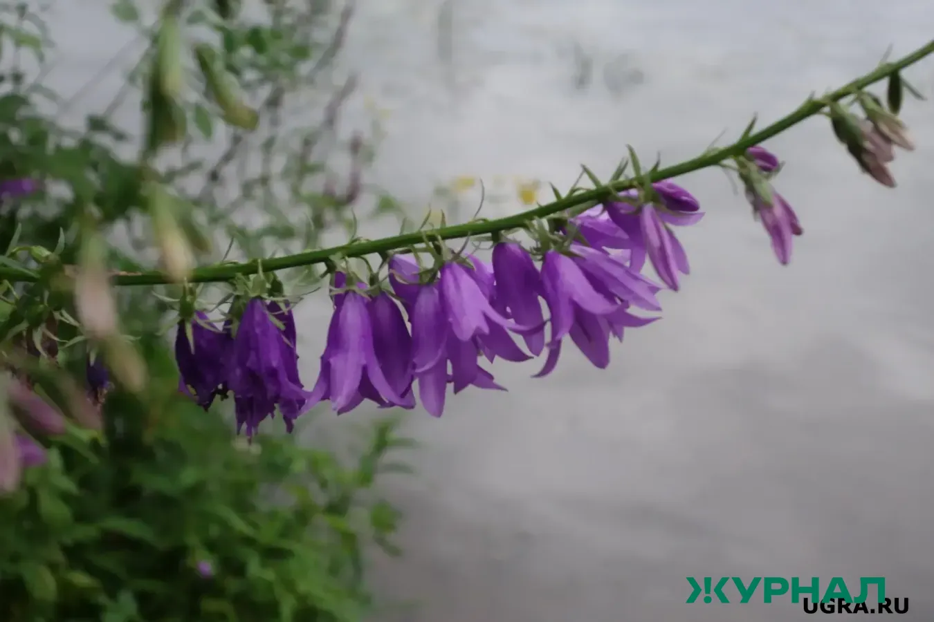 Тёплая погода без осадков ожидает Татарстан в конце марта и начале апреля