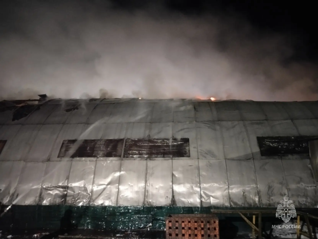 В Набережных Челнах произошел пожар в мусорном ангаре