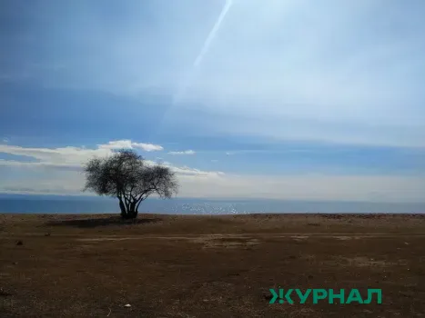 На финансирование нацпроекта «Экологическое благополучие» в Татарстане выделили почти 3 млрд рублей