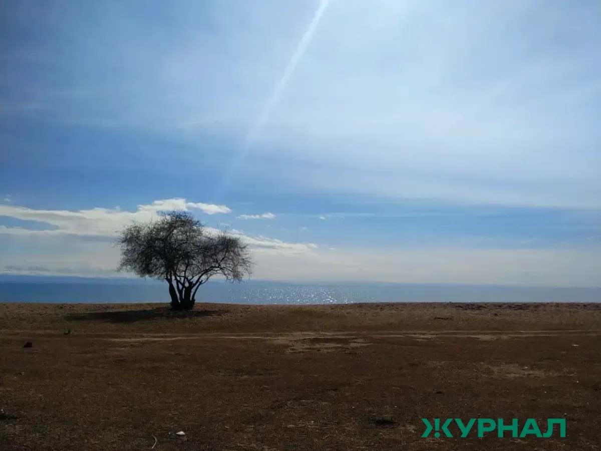 На финансирование нацпроекта «Экологическое благополучие» в Татарстане выделили почти 3 млрд рублей