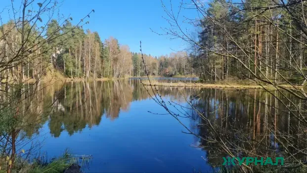 В Татарстане выявили превышение норм по 18 веществам в водоёмах