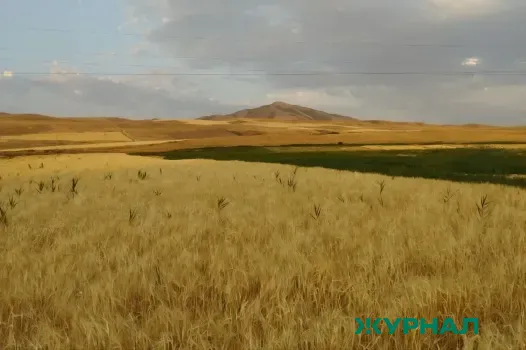 Аграрии Татарстана планируют засеять 1,7 млн гектаров яровых культур