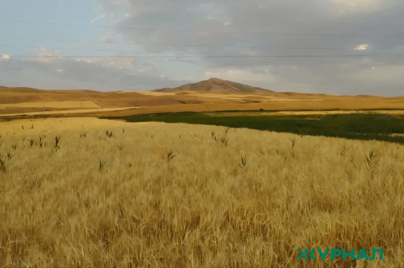 Аграрии Татарстана планируют засеять 1,7 млн гектаров яровых культур