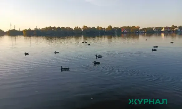 Минэкологии Татарстана: в садовом товариществе под Челнами незаконно брали воду из реки