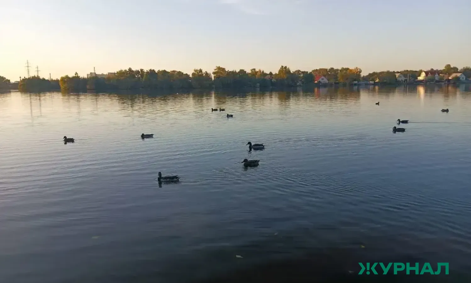 Минэкологии Татарстана: в садовом товариществе под Челнами незаконно брали воду из реки