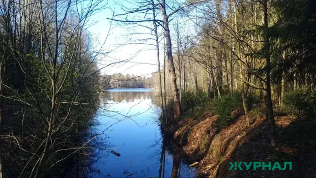 Тело пропавшего жителя Елабуги найдено в реке Кама в Набережных Челнах