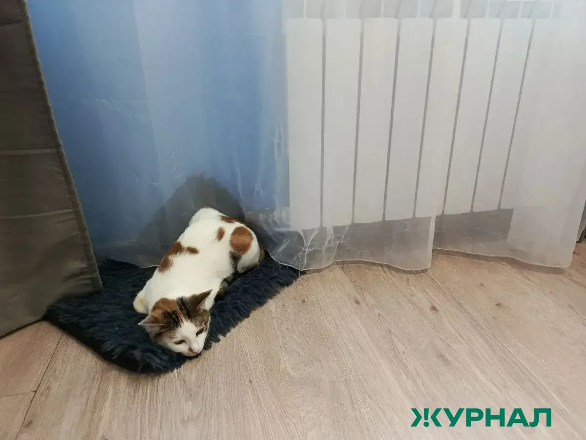 Жители Татарстана массово жалуются на проблемы с отоплением и канализацией