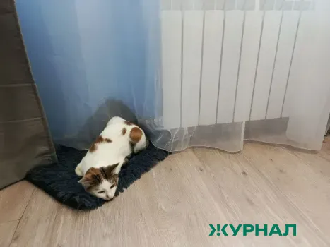 Жители Татарстана массово жалуются на проблемы с отоплением и канализацией