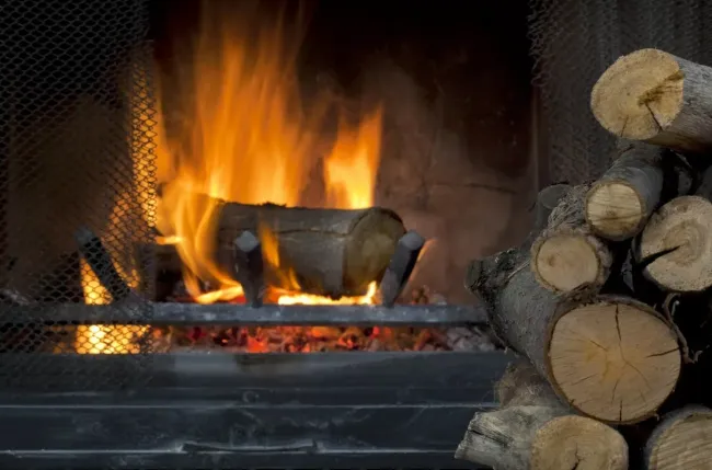 Как выбрать дрова для печи: три лучших варианта для тепла и уюта