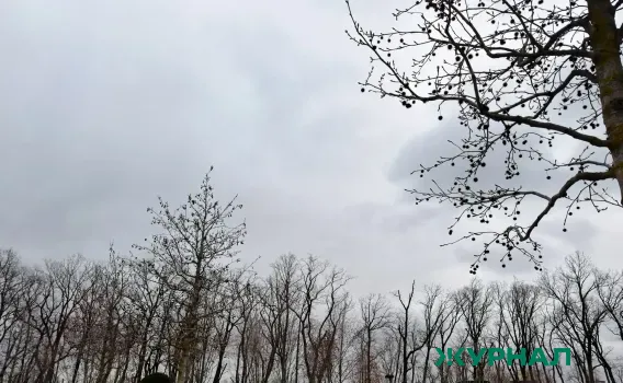 В Татарстане ожидаются туман и сильный ветер, возможны грозы