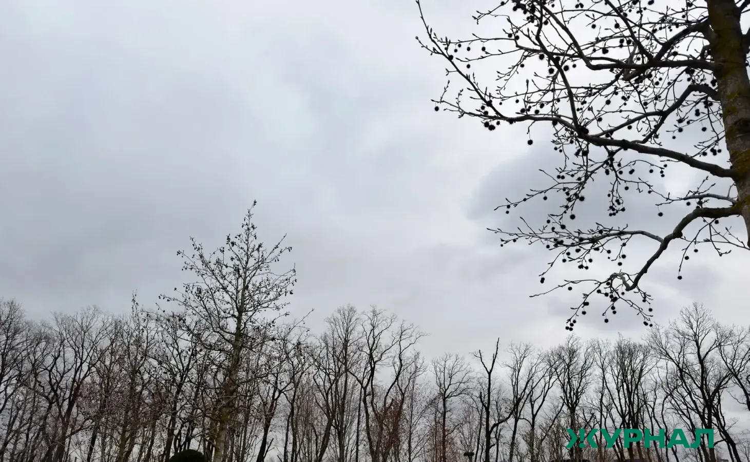 В Татарстане ожидаются туман и сильный ветер, возможны грозы