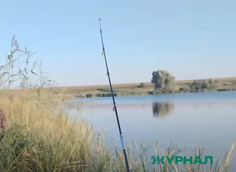 Браконьера задержали на реке Шешма в Татарстане за ловлю рыбы запрещенными снастями