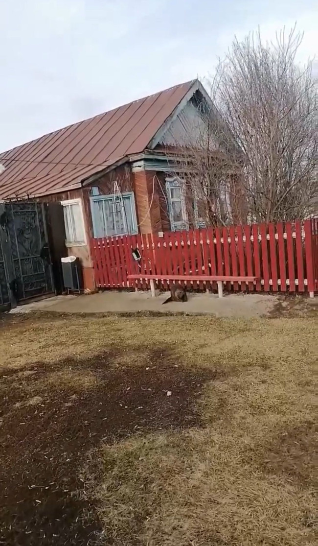 В Алексеевском районе спасли бобра, запутавшегося в сети на частном подворье