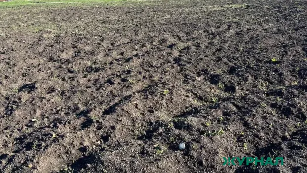 Компания в Татарстане возместила ущерб за загрязнение почвы нефтепродуктами