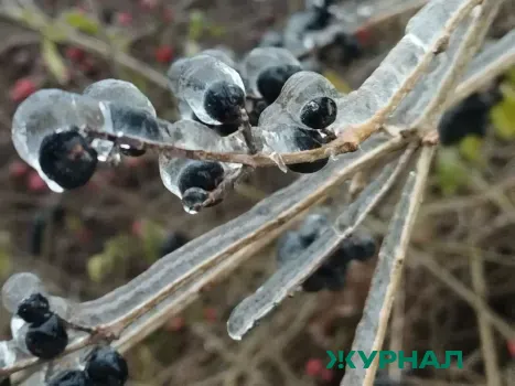 Погода в Татарстане ухудшится: дожди и заморозки ожидаются 21 апреля