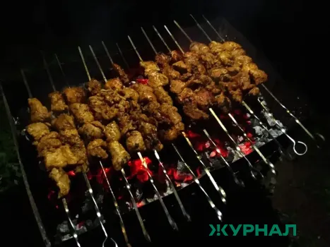 В Татарстане вводят ограничения на приготовление пищи на открытом огне