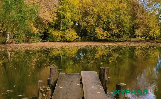 Мужчина утонул в Волге у СНТ &laquo;Дубки‑2&raquo; во время переправы на лодке