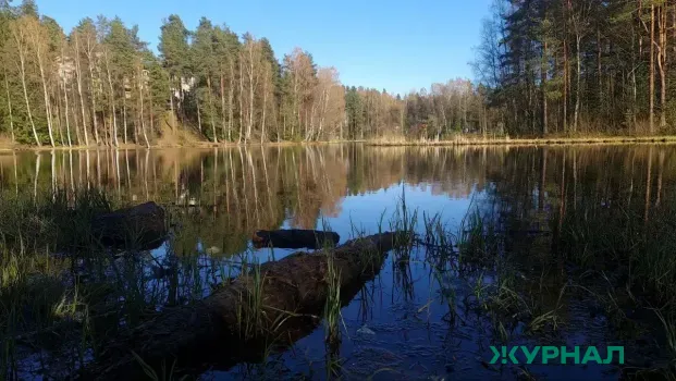Повышение уровня воды зафиксировано на 10 реках Татарстана за сутки