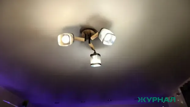 Долг садовых товариществ Татарстана за электроэнергию превысил 43 миллиона рублей