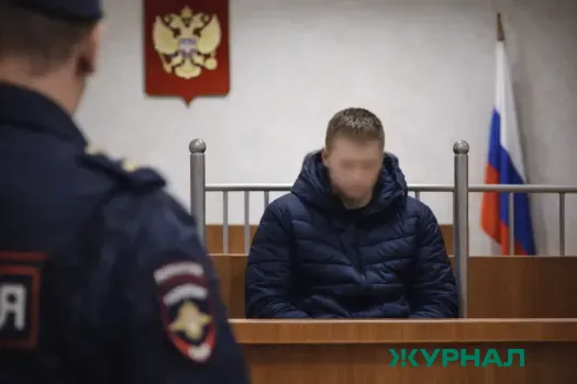 Житель Казани предстанет перед судом за убийство 84-летней женщины