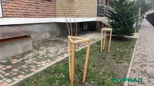 В Татарстане высадили 1 миллион деревьев в рамках акции &laquo;Сад памяти&raquo;