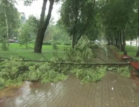 Сильный ветер в Набережных Челнах снес крышу и повалил дерево