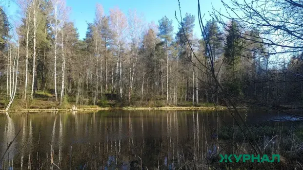 Уровень воды в Вятке растёт, в Татарстане ожидается подтопление участков