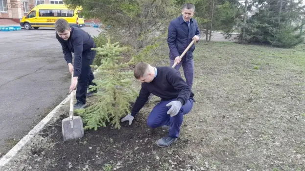 Школьники Нижнекамска высадили &laquo;Сад памяти&raquo;