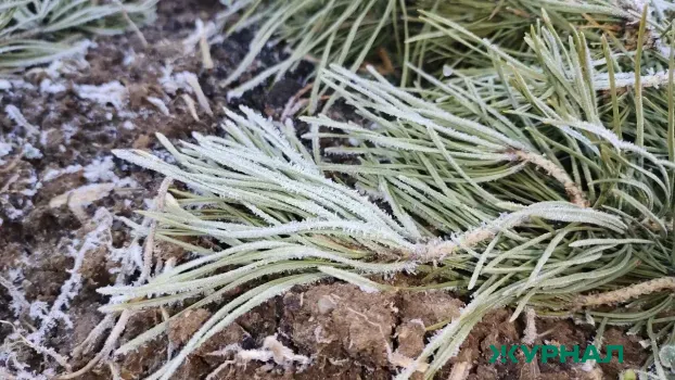 Холодная погода с дождем и мокрым снегом ожидает Татарстан 29 апреля