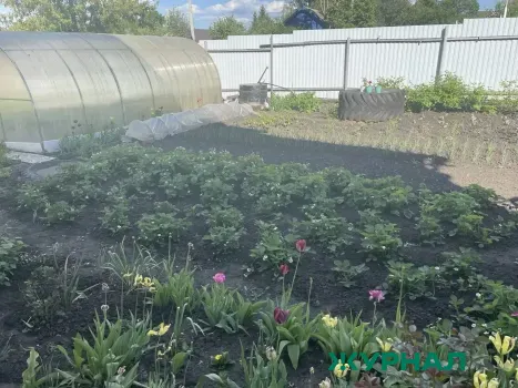 Нефтяной запах в СНТ &laquo;Энергетик&raquo; Набережных Челнов вызван утечкой масла