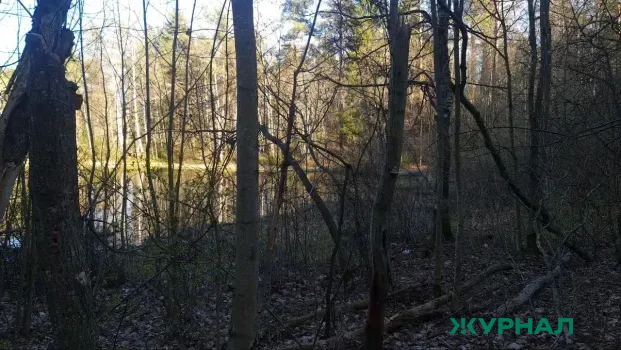 В Татарстане введен особый противопожарный режим до 11 мая