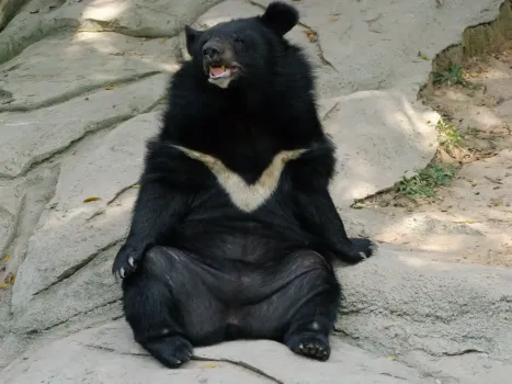 Казанский зооботсад переходит на летний режим работы до 20:00