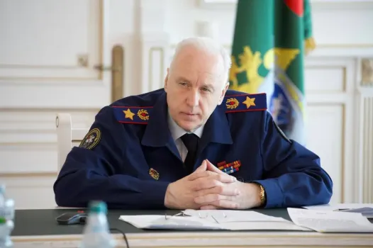 Бастрыкин потребовал доклад по делу о нападении собаки на подростка в Кульсеитово