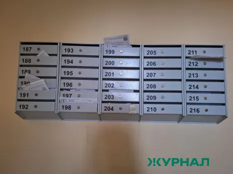 В Татарстане предупреждают о фейковых письмах с ложными ограничениями
