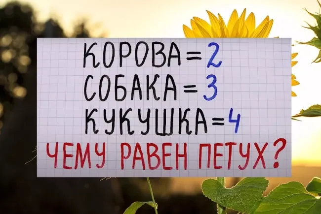 Загадка для тренировки ума: проверьте свою логику и найдите ответ на непростую головоломку