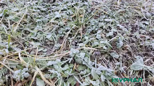 В Татарстане ожидаются заморозки и сильный ветер в выходные дни