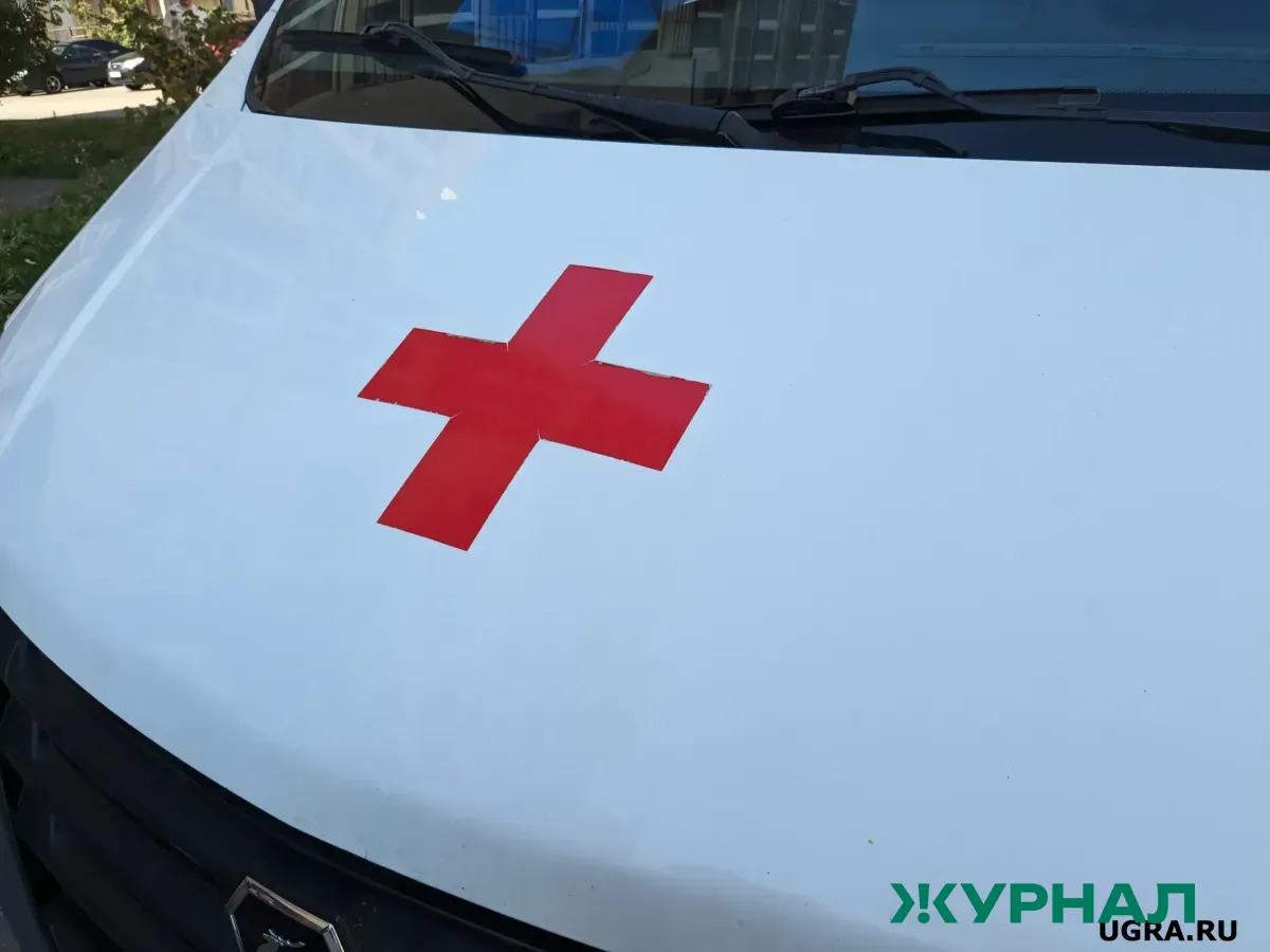 Два человека погибли от удара электрическим током в Спасском районе