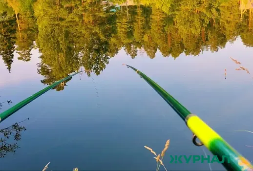 Браконьер задержан на реке Меша за ловлю рыбы запрещенными снастями