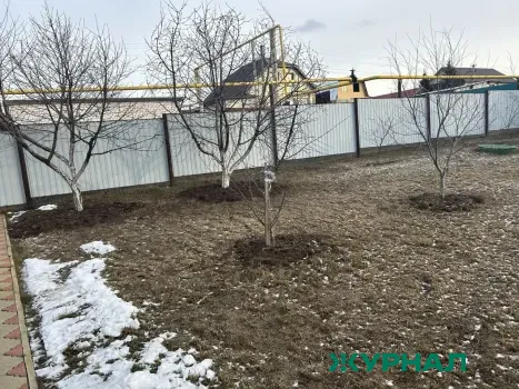 В Нижнекамске начнут выдавать земельные участки многодетным семьям